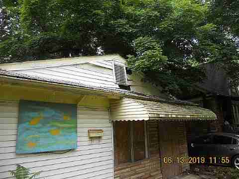 15017 Dolphin (4)_m.jpg